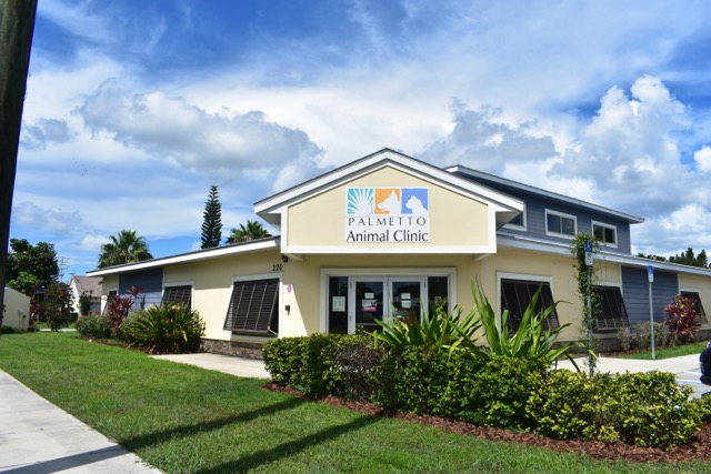 Palmetto Animal Clinic and Opie's Doghouse