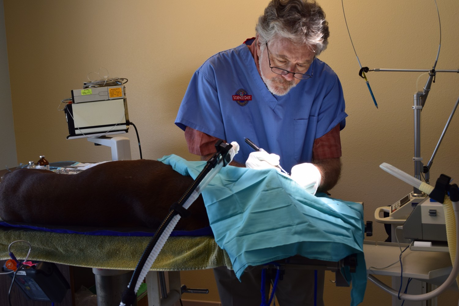 Surgery