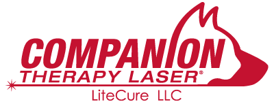 Companion Laser