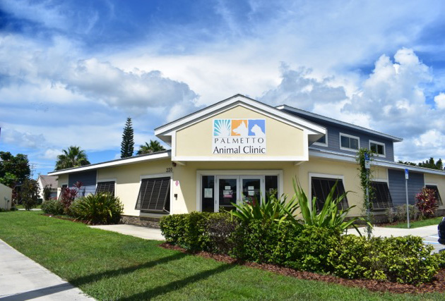 Palmetto Animal Clinic