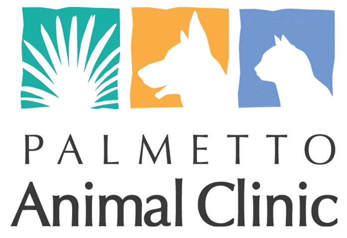 Palmetto Animal Clinic Logo