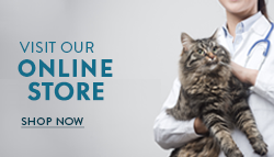 Online Store