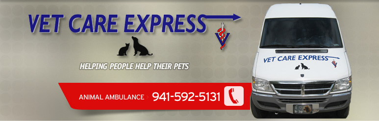 Vet Care Express Banner