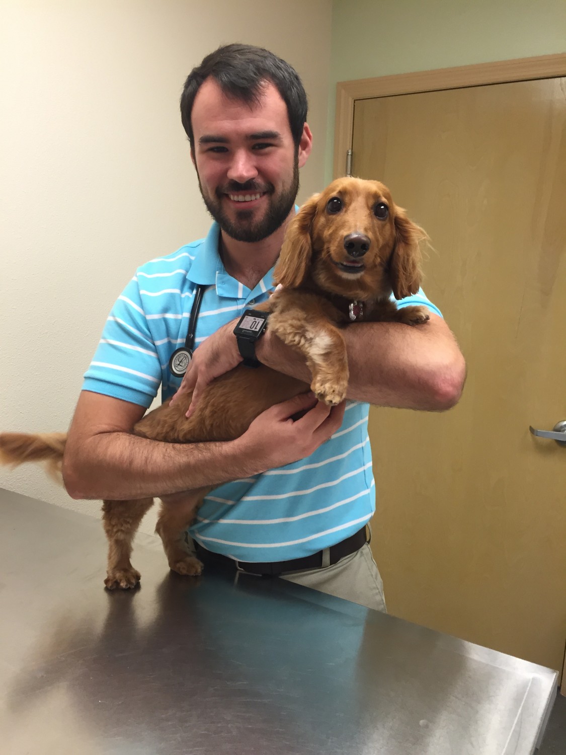 Palmetto Animal Clinic - Palmetto, FL - Our Veterinarian Lucas McClain, DVM